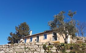 Casa de Campo - Cinfães do Douro